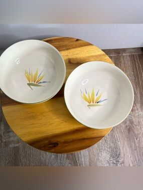 Winfield Bowls with Yellow & Blue Bird of Paradise - Set of 2 MCM hand painted